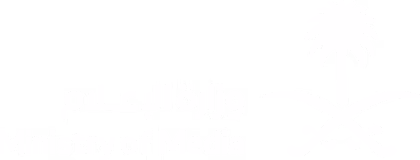 Ministry of Media